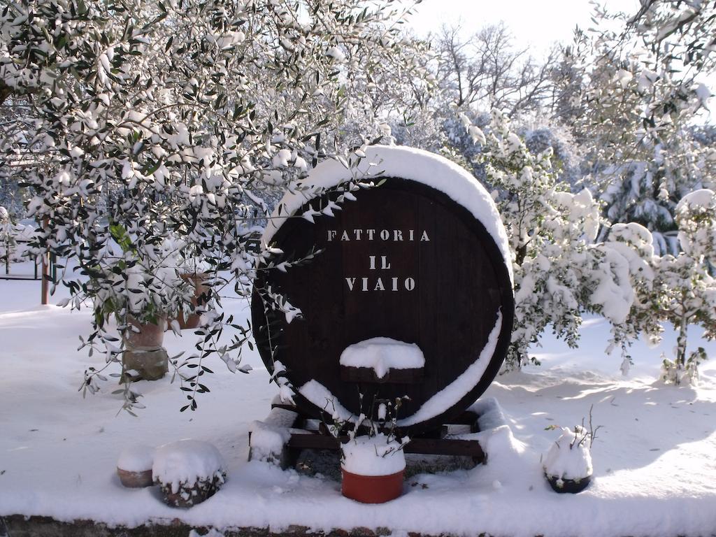 Agriturismo Il Viaio Villa Fiesole Bagian luar foto